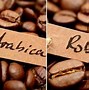 Giá Cà Phê Robusta Nhập Khẩu