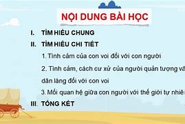 Giải Ngữ Văn 7 Ctst