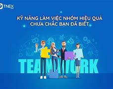 Kỹ Năng Cần Thiết Để Làm Việc Nhóm Hiệu Quả